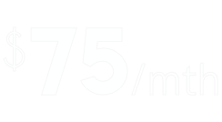 Monkey Business Agency Inc. - Our business is building your business with software and services for smart, modern businesses.